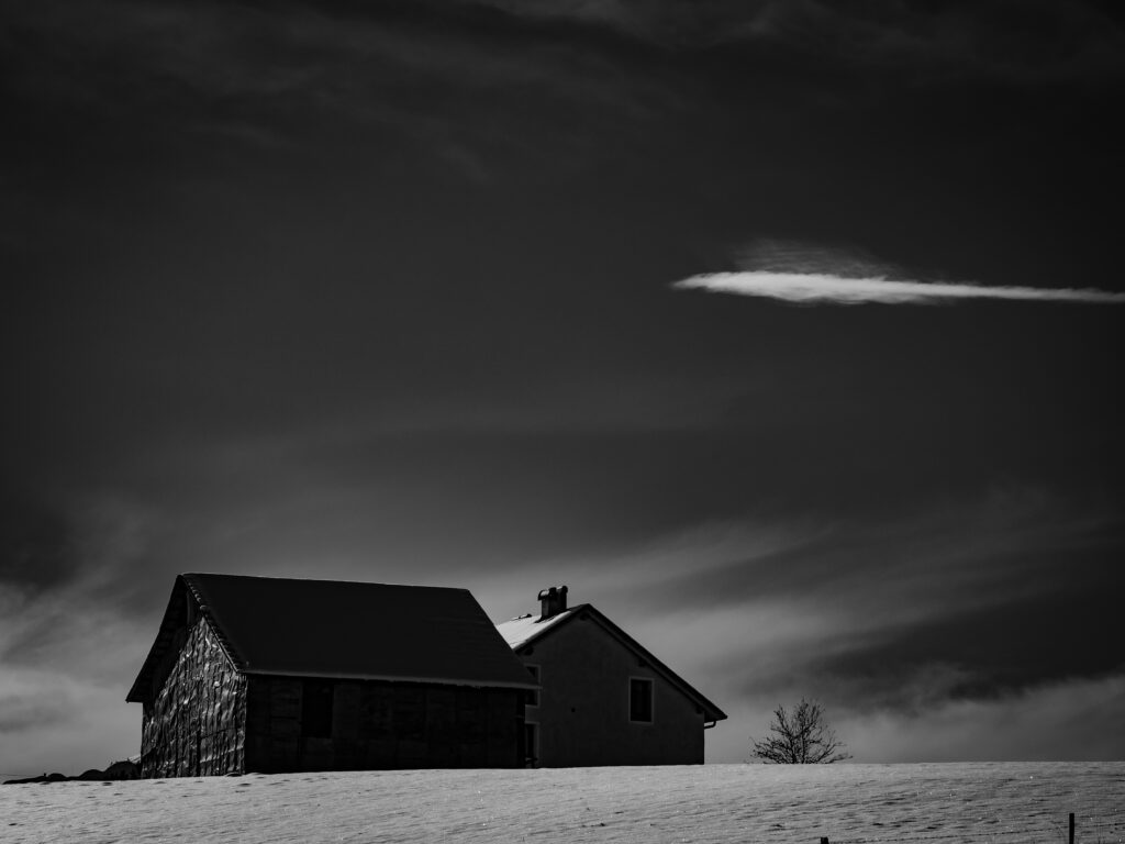 winter landscape